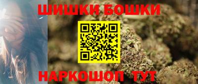 СК Кингисепп