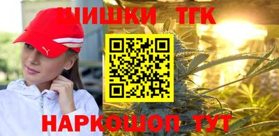 СК Кингисепп