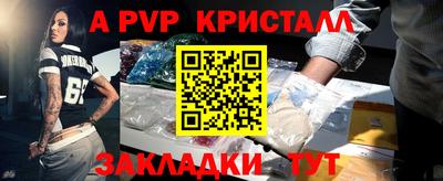 СК Кингисепп