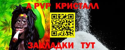 СК Кингисепп