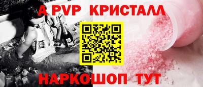 СК Кингисепп