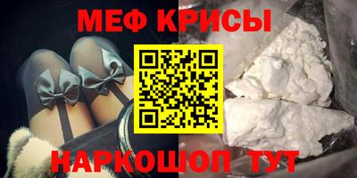 СК Кингисепп